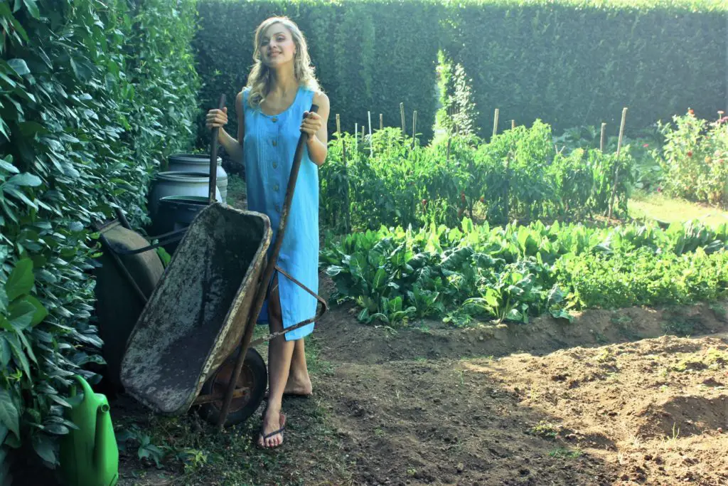 woman working in a garden