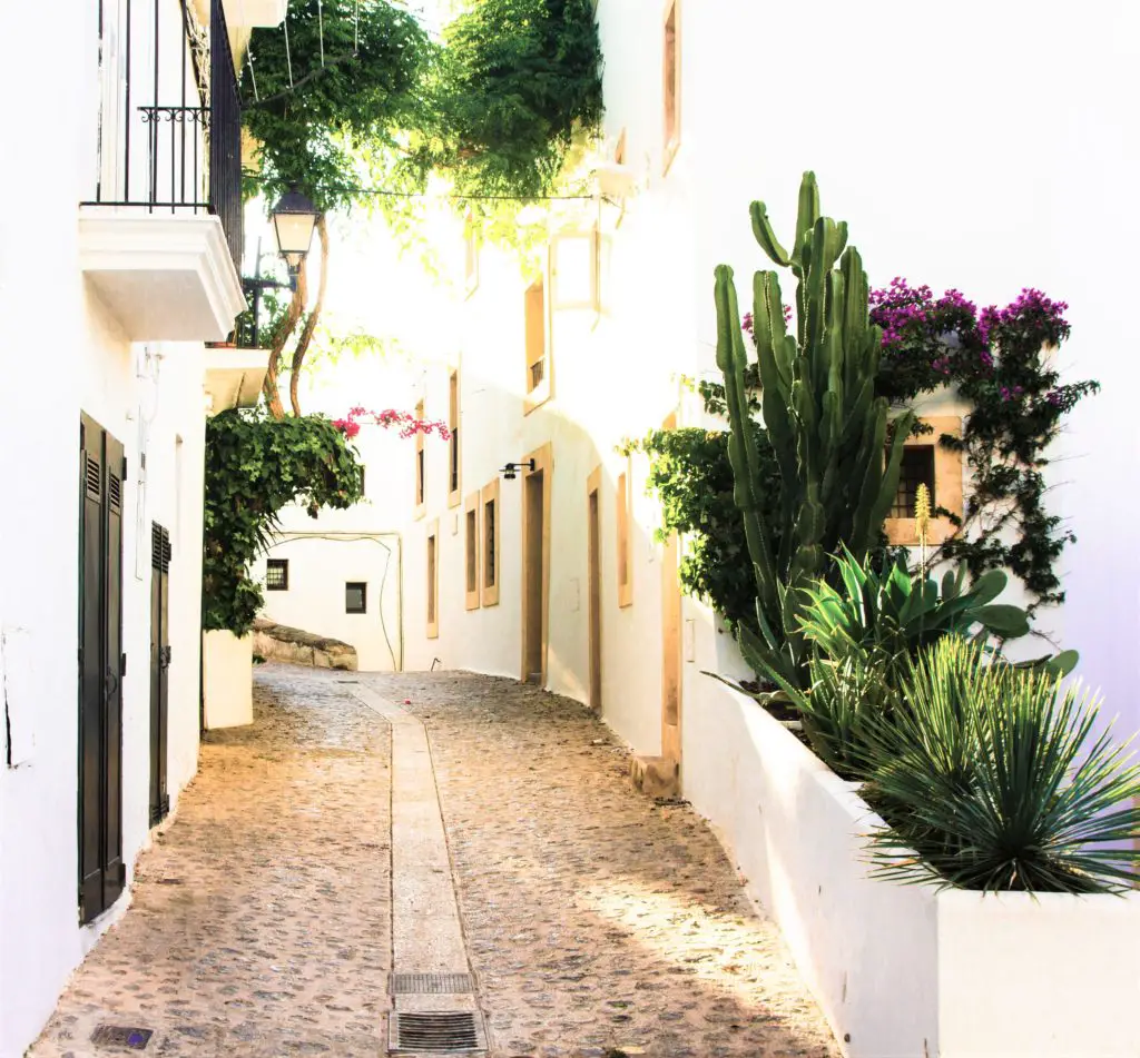 street in a small village