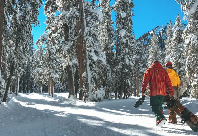 two snowboarders walking through forest