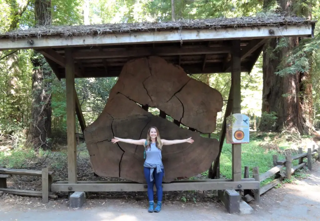 see redwoods in california
