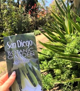 is san diego worth visiting? 20 reasons to consider