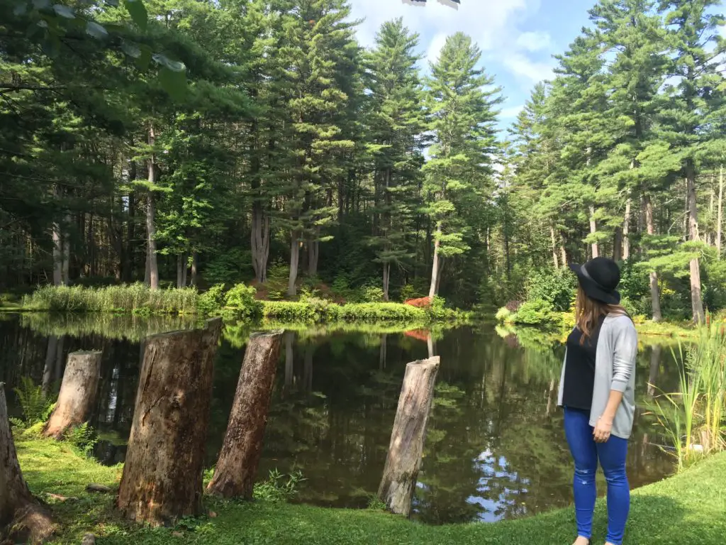 woman standing in front of a beautiful lake