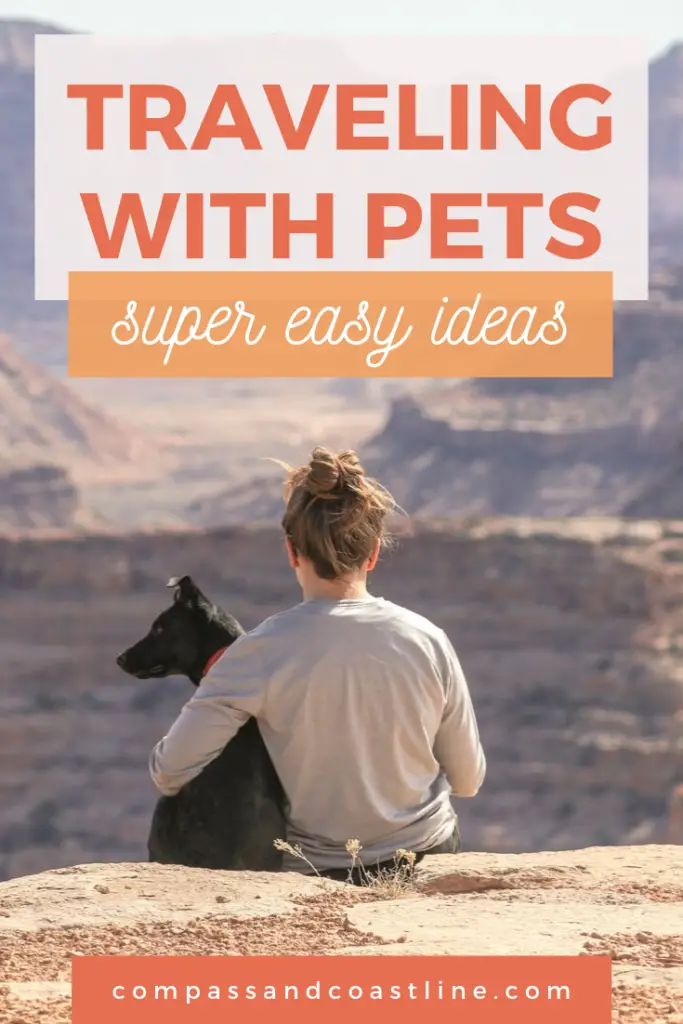 super easy ideas for traveling with pets