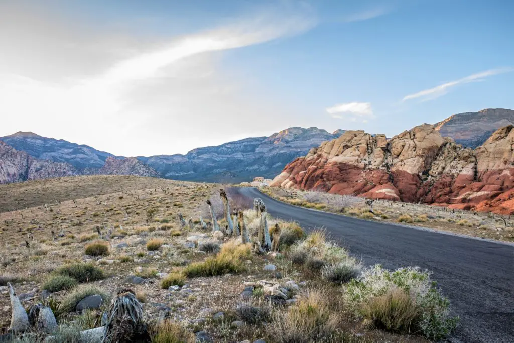 a road in red rock canyon near las vegas