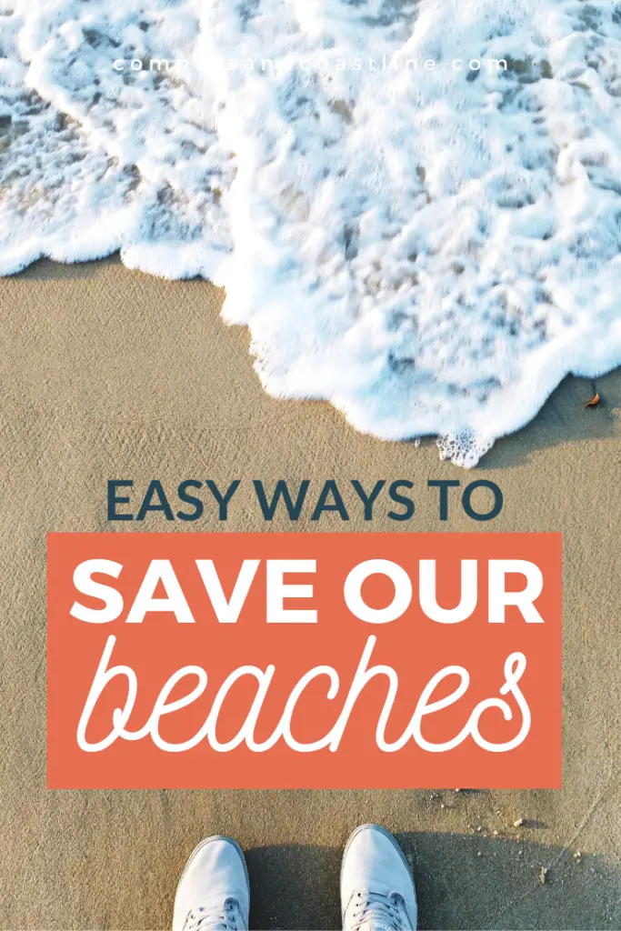 easy ways to save our beaches and keep the oceans clean