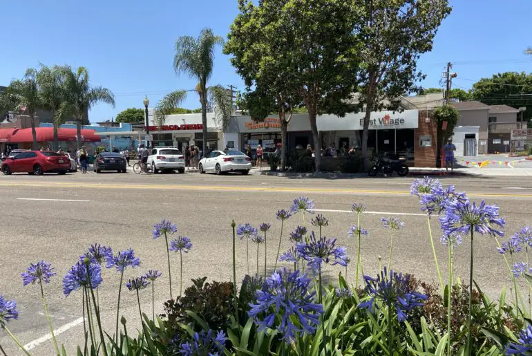 encinitas has been called flower capital of the world