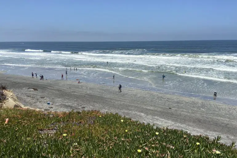 beach in encinitas