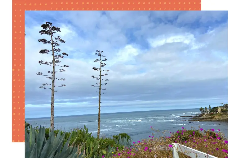 scenic ocean views in la jolla california