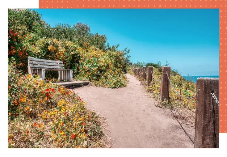 coast walk trail in la jolla