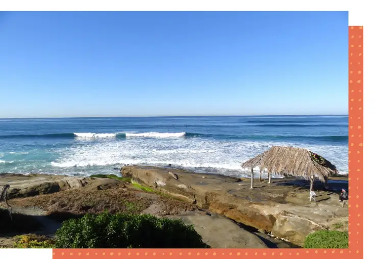 windansea beach is a local's beach in la jolla