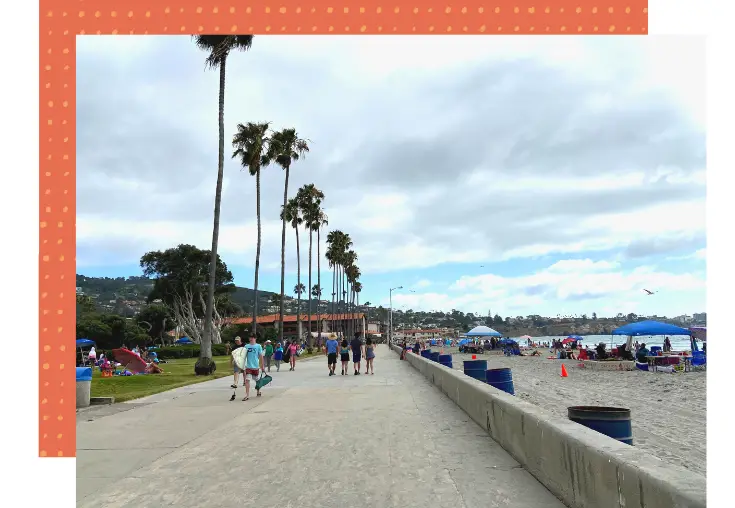 la jolla shores is the most popular beach in la jolla