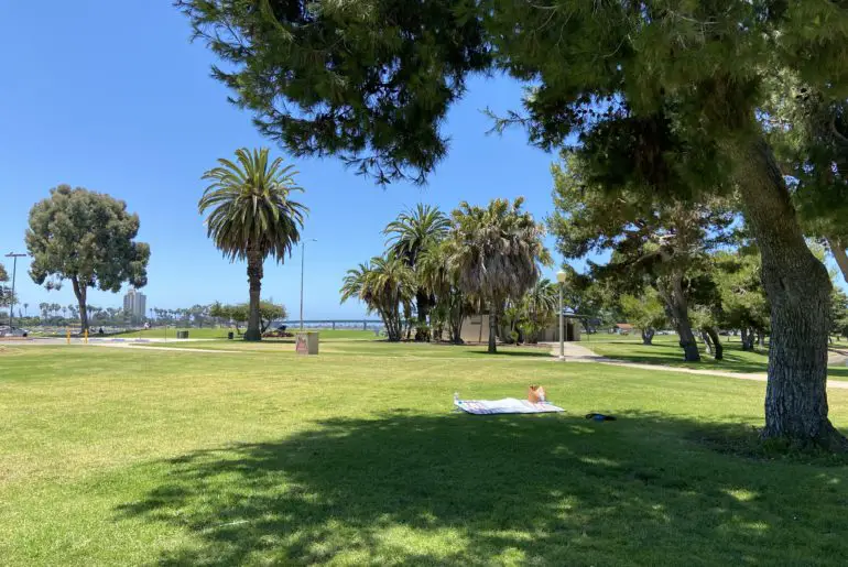 there are lots of great places for a picnic in mission bay san diego
