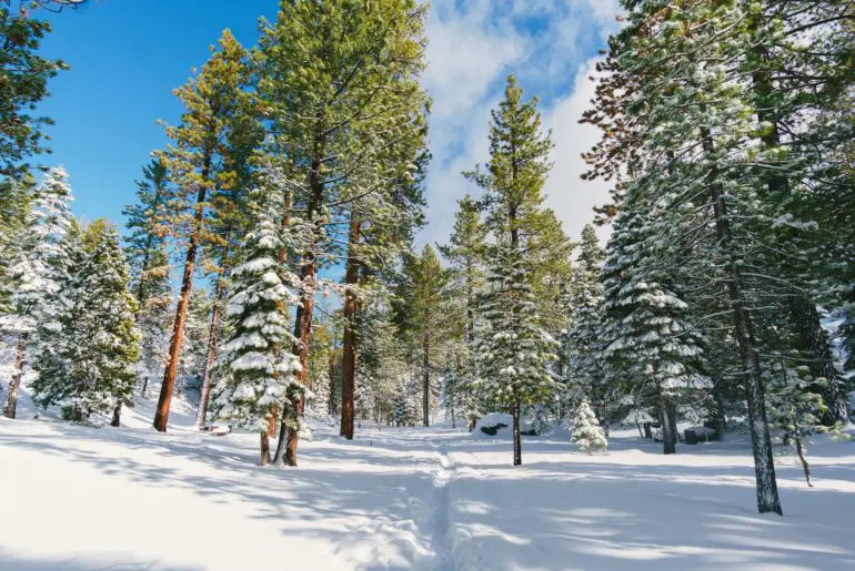 lake tahoe is a california wintertime favorite place to visit