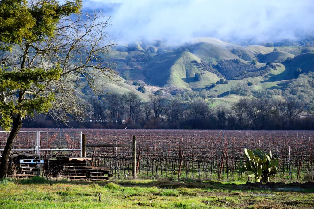 hillside in mendocino california