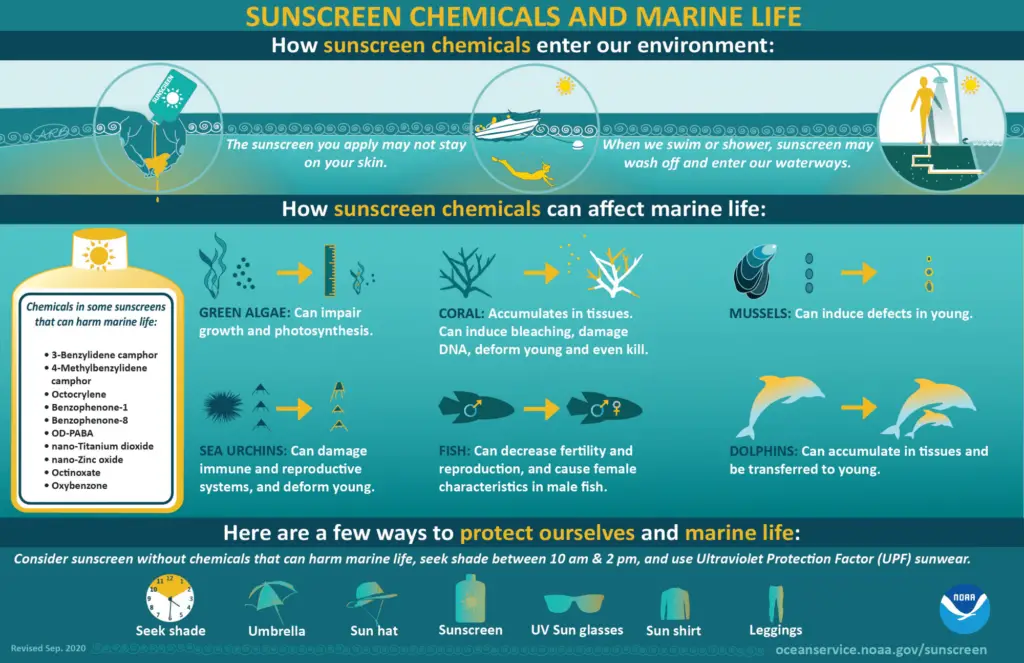 infographic about biodegradable sunscreen