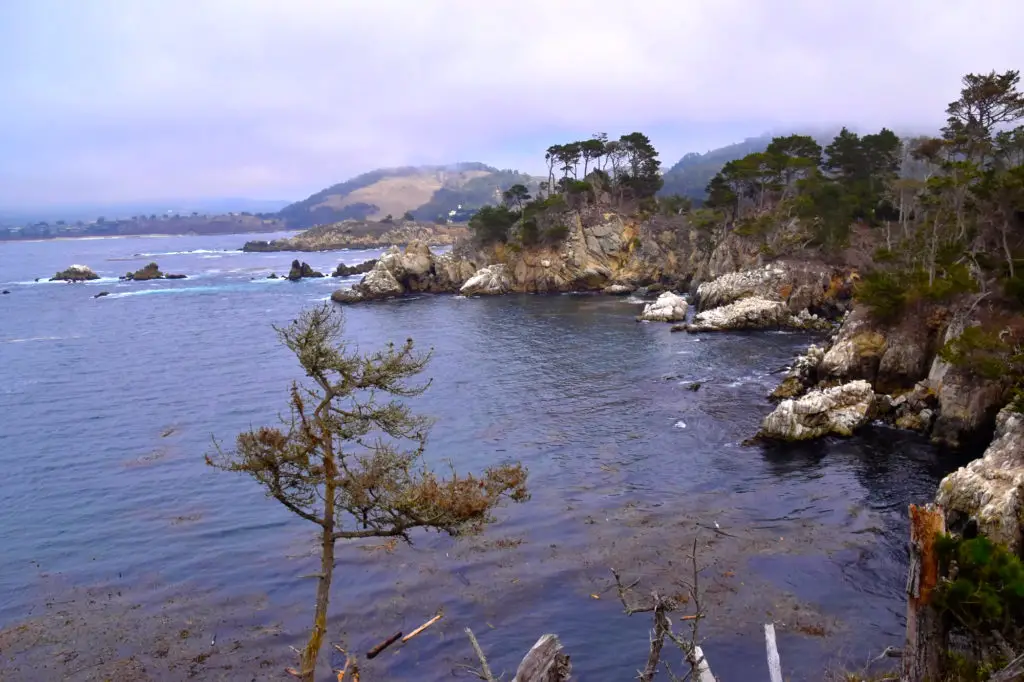 point lobos state reserve