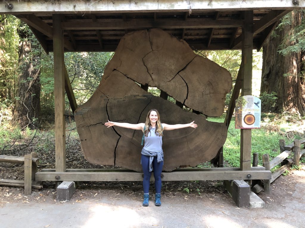 woman standing in front of giant redwood tree