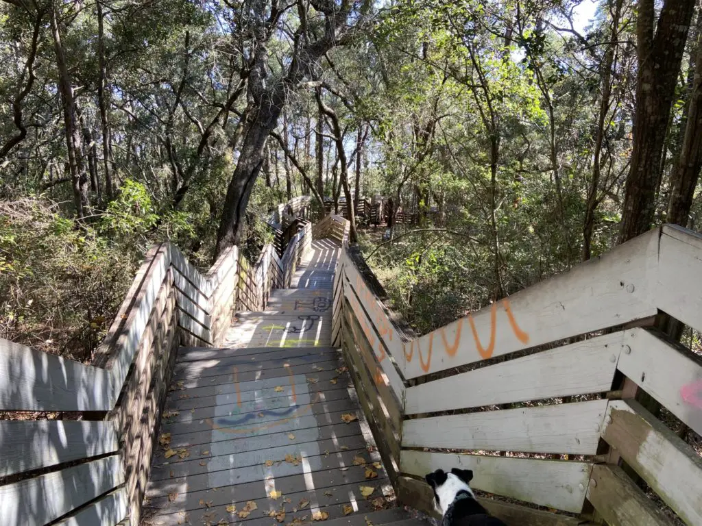 bay bluffs park in pensacola