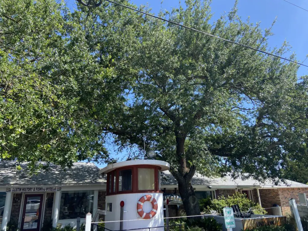 destin history and fishing museum