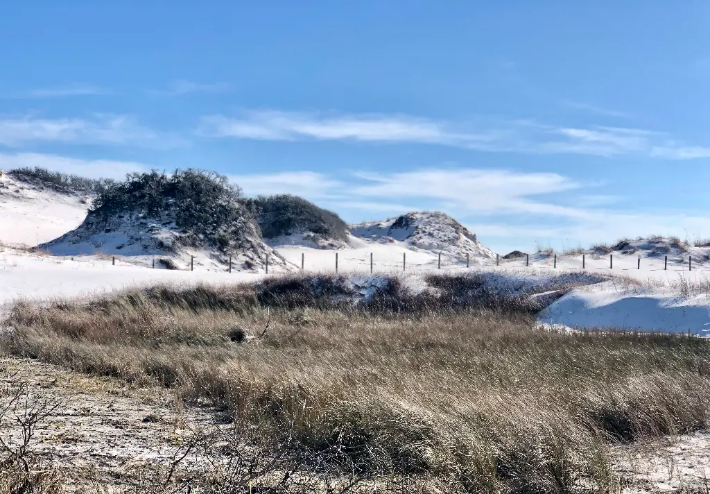 henderson beach state park in destin florida