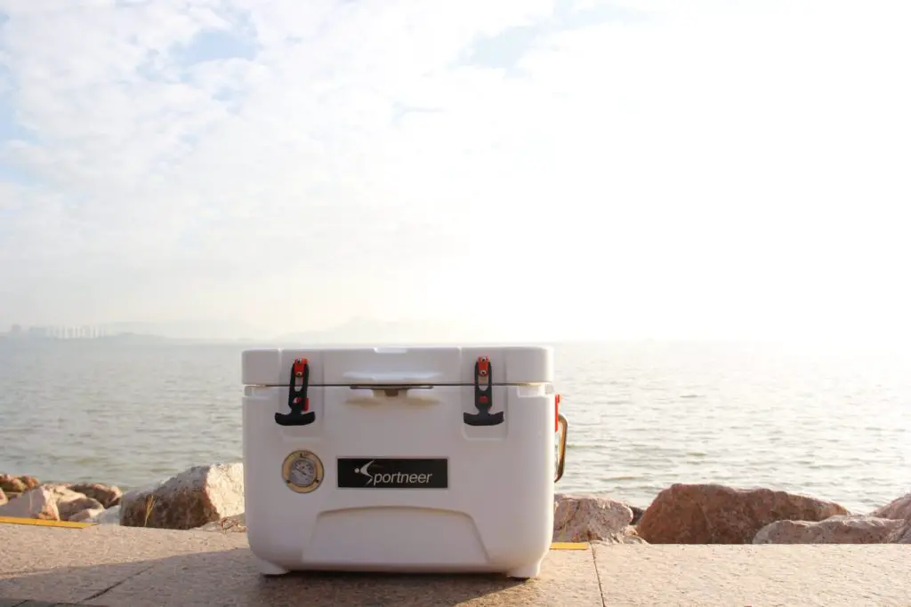 a cooler is a beach day essential