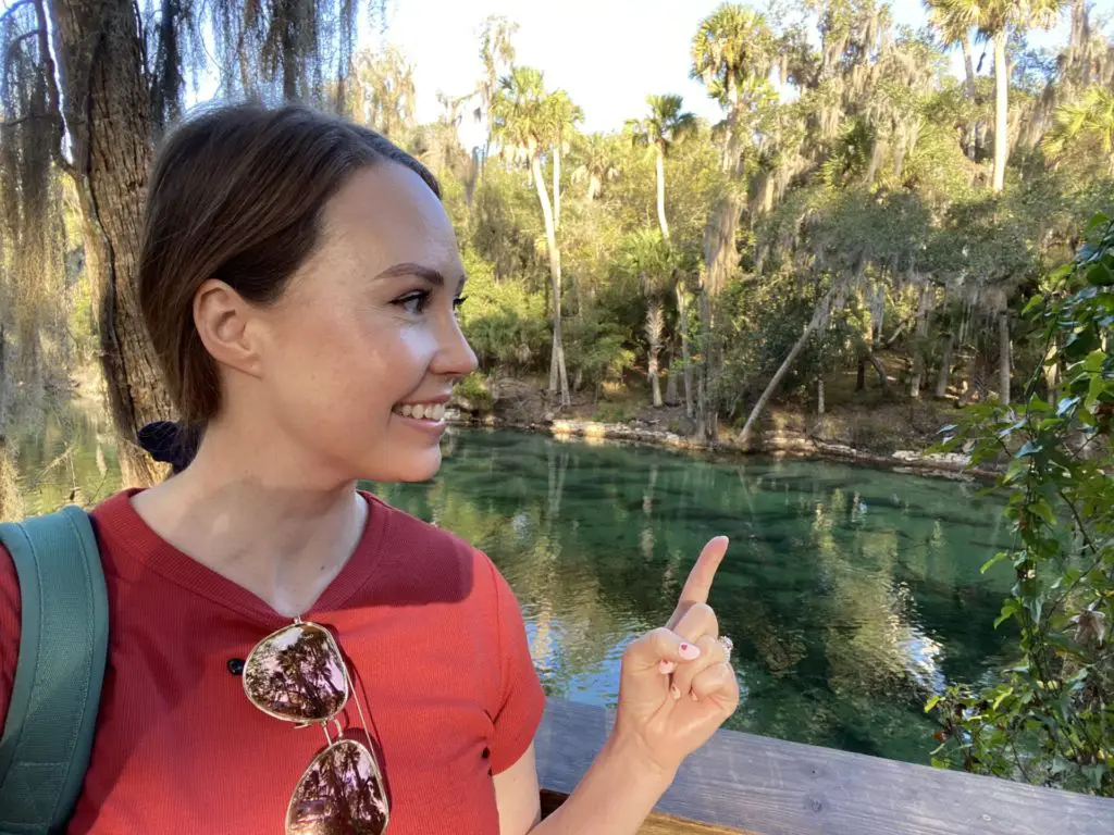 manatee viewing deck, a great option to observe animals ethically 