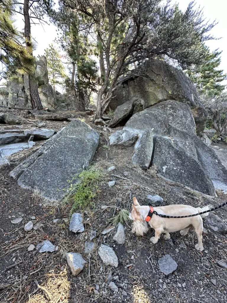 one thing that makes lake tahoe special is all the hiking trails