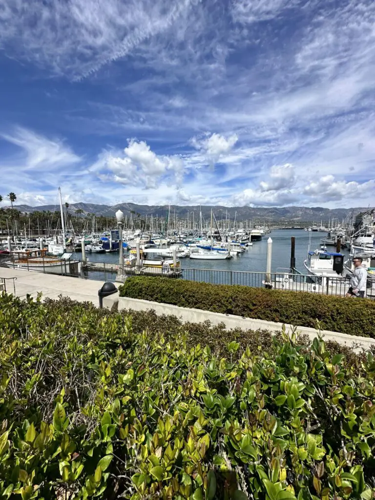 views of the santa barbara marina and harbor